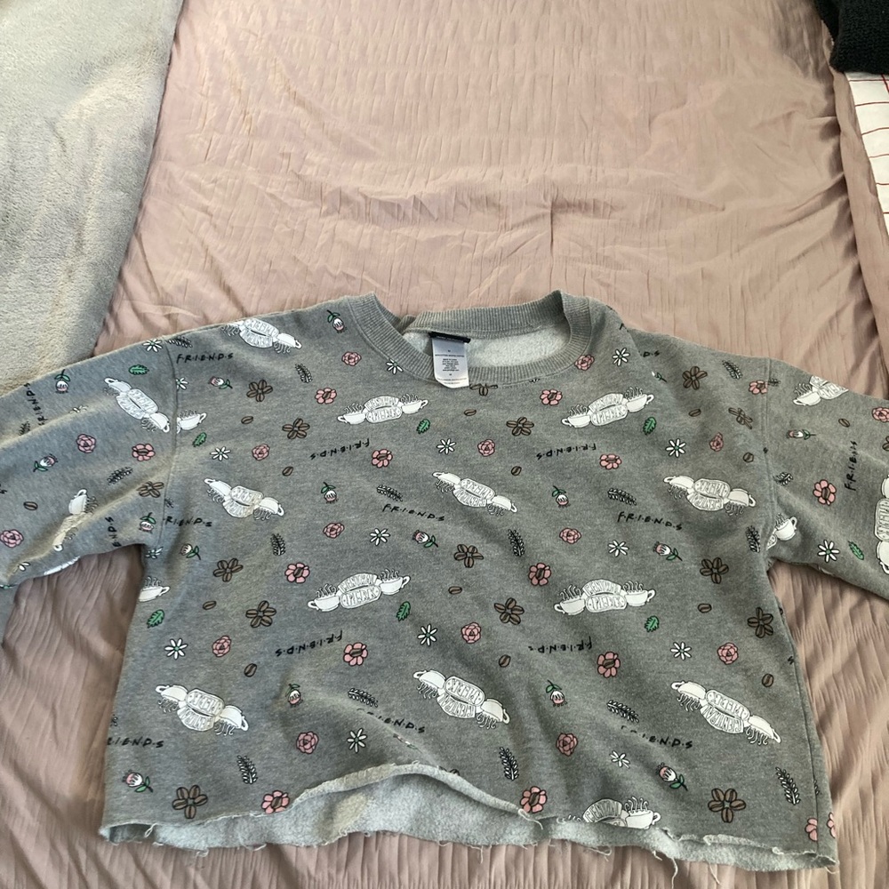 Friends crop top sweater